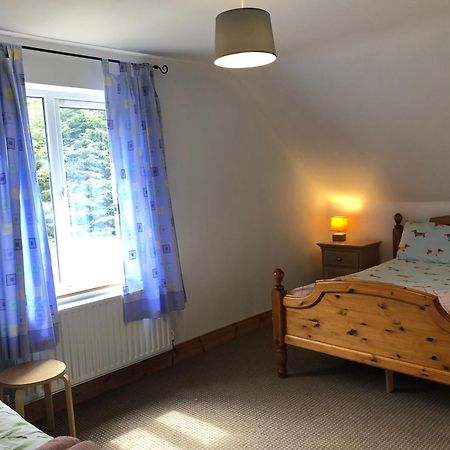 Four Seasons House Bed and Breakfast Milford Buitenkant foto