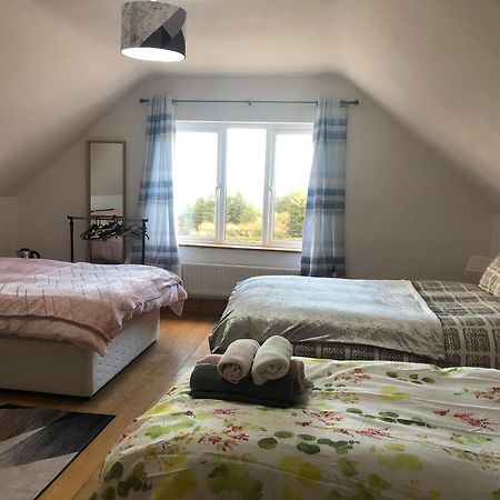 Four Seasons House Bed and Breakfast Milford Buitenkant foto